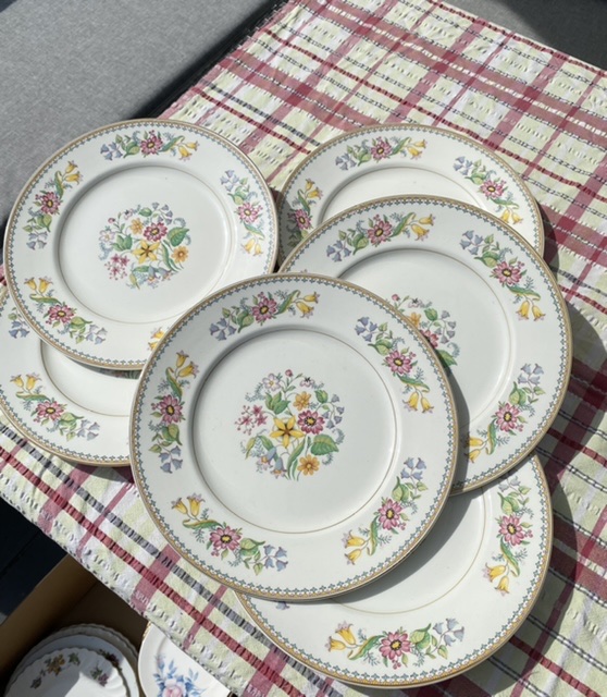 A set of 6 matching Vintage Dinner Plates by Maddock
